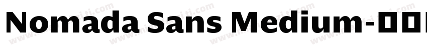 Nomada Sans Medium字体转换